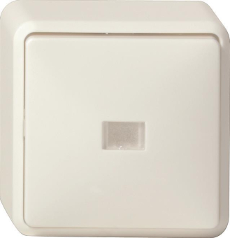 GIRA 011613 Wipp-Kontrollschalter 