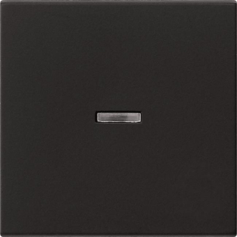 GIRA 0290005 Wippe Kontrollfenster 
