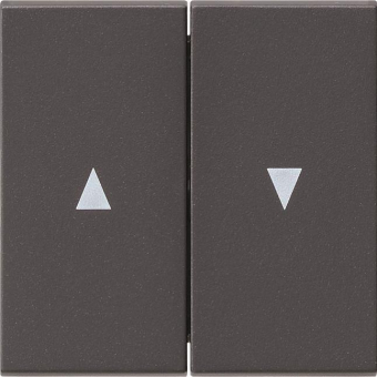 GIRA 029428 Wippe 2fach Pfeil System 55 