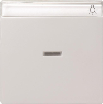 GIRA 067027 Wippe Kontrollfenster+BSF 