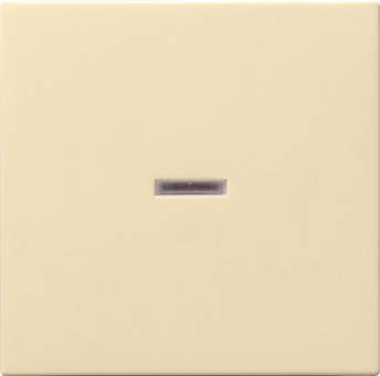 GIRA 029001 Wippe Kontrollfenster 