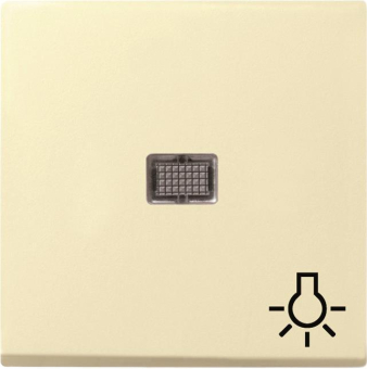GIRA 063001 Wippe Kontrollfenster groß+ 