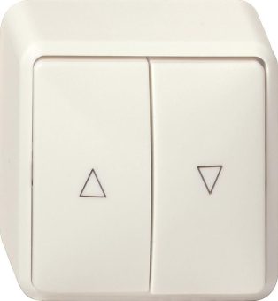 GIRA 015813 Wipp-Jalousietaster Pfeile 