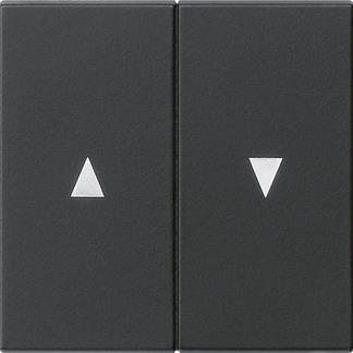 GIRA 0294005 Wippe 2fach Pfeil System 55 