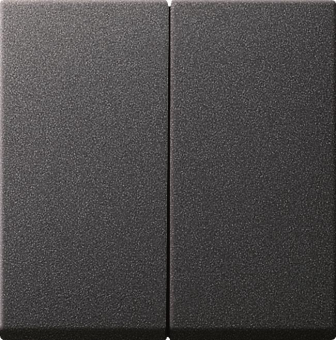 GIRA 029528 Wippe 2fach System 55 