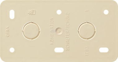 GIRA 008013 Montageplatte 2fach f.Kombi 