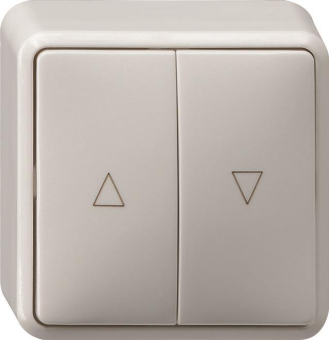 GIRA 015813 Wipp-Jalousietaster Pfeile 