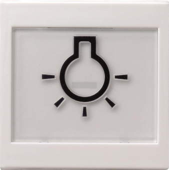 GIRA 021627 Wippe+BSF+Symbol Licht groß 