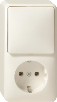 GIRA 017613 Kombi Aus-Wechsel/SCHUKO 