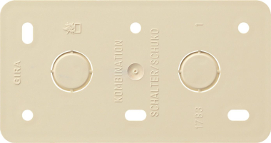 GIRA 008013 Montageplatte 2fach f.Kombi 