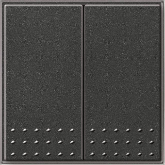 GIRA 012867 Tastschalter Wechselschalter 