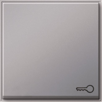 GIRA 028765 Wippe Symbol Tür TX_44 WG UP 
