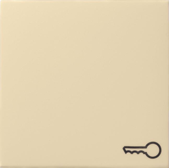 GIRA 028701 Wippe Symbol Tür System 55 