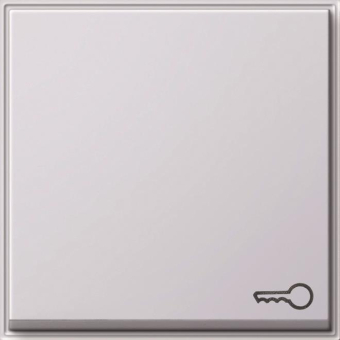 GIRA 028766 Wippe Symbol Tür TX_44 WG UP 