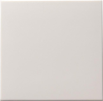 GIRA 091627 Wippe Tastschalter System 55 