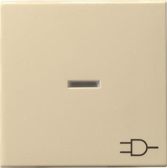 GIRA 020901 Wippe Kontrollfenster+Symbol 