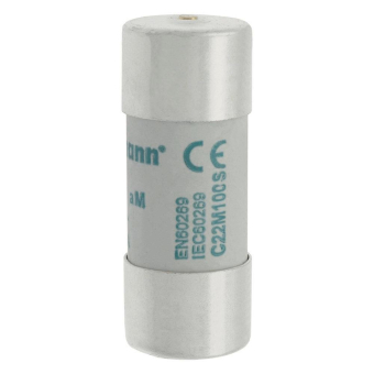 EATON Sicherungseinsatz Nsp.    C22M100S 