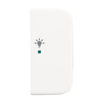 BJ Wippe 2-fach Symbol Licht 6231-22-214 