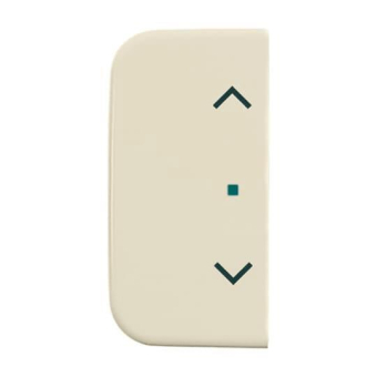 BJ Wippe 2-fach Symbol Licht 6232-20-212 