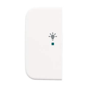 BJ Wippe 2-fach Symbol Licht 6231-21-214 
