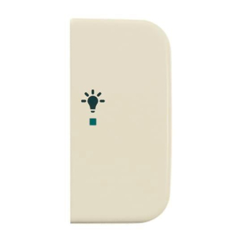 BJ Wippe 2-fach Symbol Licht 6231-22-212 