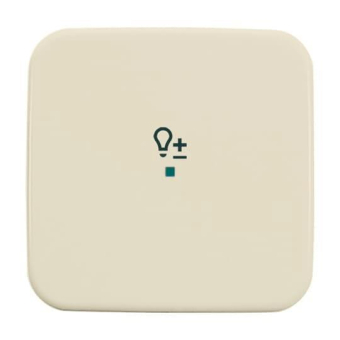 BJ Wippe 1-fach Symbol Licht 6234-10-212 