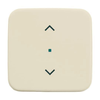 BJ Wippe 1-fach,Symbol Licht 6232-10-212 