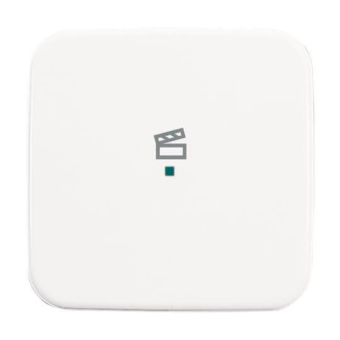 BJ Wippe 1-fach,Symbol Licht 6233-10-214 