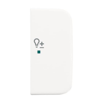 BJ Wippe 2fach Symbol Dimmer 6234-22-214 