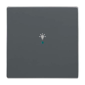BJ Wippe 1-fach,Symbol Licht  6231-10-81 