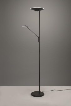 Trio LED-Stehl BRANTFORD 30W   425610232 