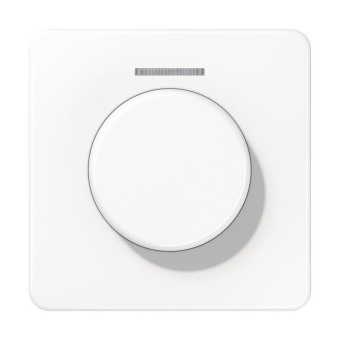 Jung Abdeckung Lichtleiter   CD1540KO5WW 