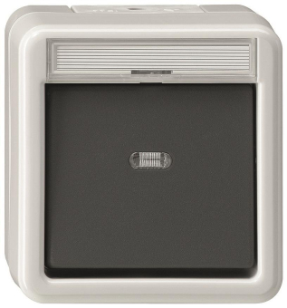 GIRA 015230 Wipptaster Schließer 