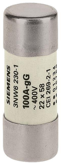 SIEM Zylindersicherung gG      3NW6205-1 