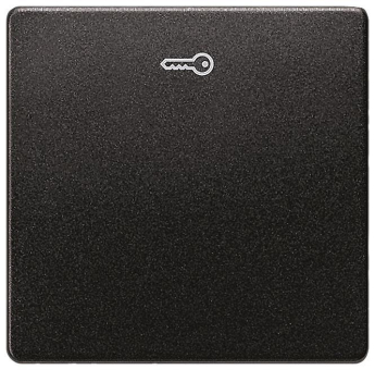 Siemens DELTA i-system Wippe     5TG6228 