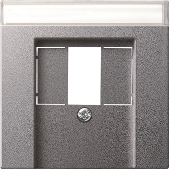 GIRA 087626 Abdeckung+BSF TAE USB 