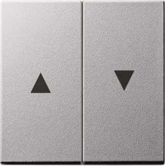 GIRA 029426 Wippe 2fach Pfeil System 55 