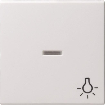 GIRA 067427 Wippe Kontrollfenster+Symbol 