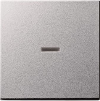 GIRA 029026 Wippe Kontrollfenster 