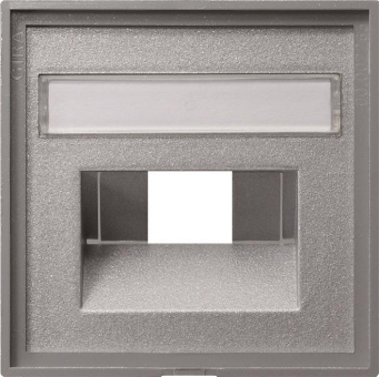 GIRA 028426 Abdeckung+ BSF UAE/IAE+ 