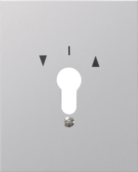 GIRA 009730 Metallabdeckung m.Symbole 