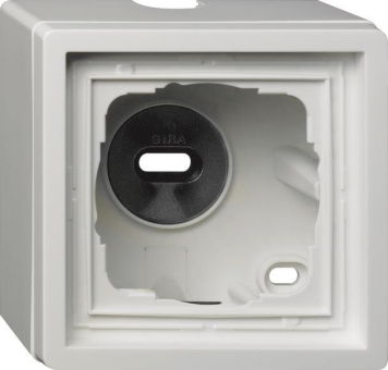 GIRA 0061112 AP-Gehäuse 1fach+Rahmen 