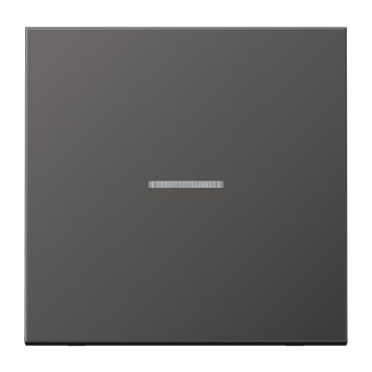 Jung Wippe Lichtleiter        AL2990KO5D 