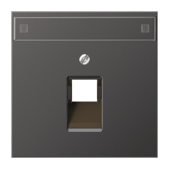 Jung Abdeckung Schriftf.   AL2969-1NAUAD 