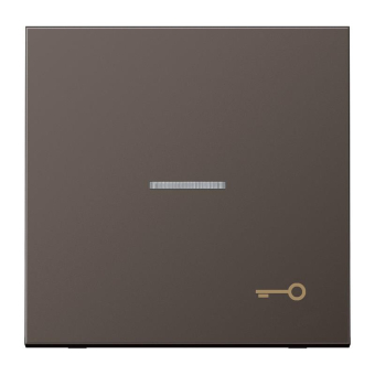 Jung Wippe Symbol Tür        AL2990KO5TD 