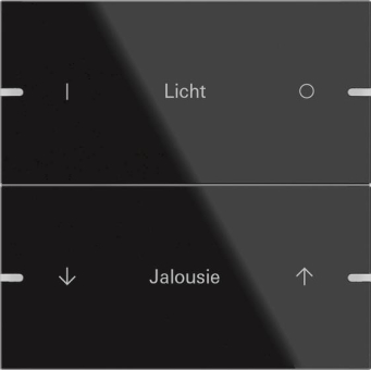 GIRA 503205 Wippenset 2fach indiv. 