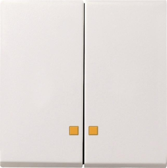 GIRA 063103 Wippe 2fach Kontrollfenster 