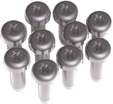 Bachmann M2 Schrauben 10Stk      917.111 