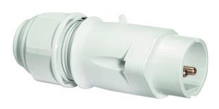 Bals Kleinspannungs-Stecker 16A 2p  4423 