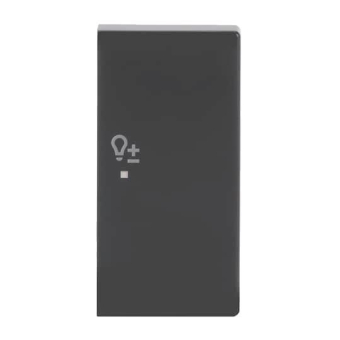 BJ Abdeckung 2fach Symbol     6234-22-81 